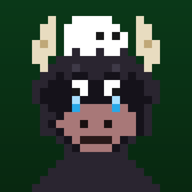 WrappedBulls #114