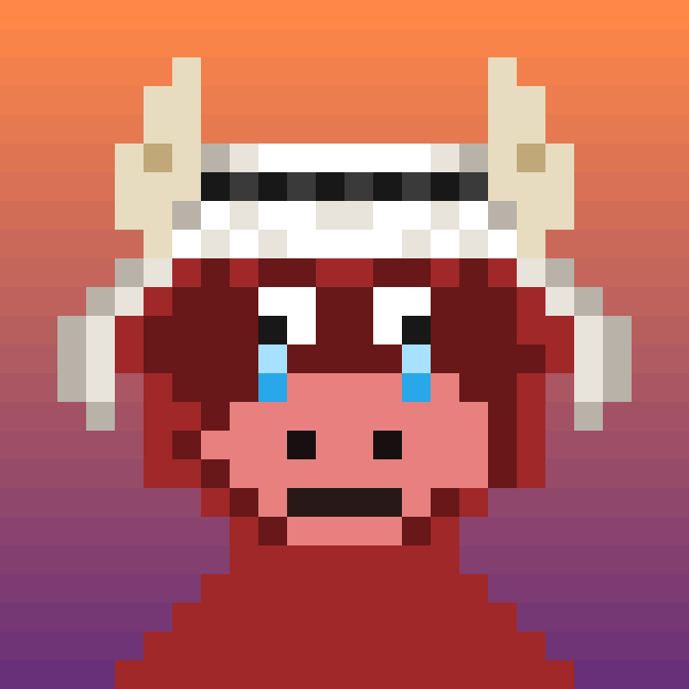 WrappedBulls #19