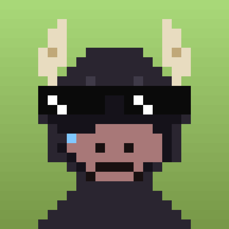 WrappedBulls #62