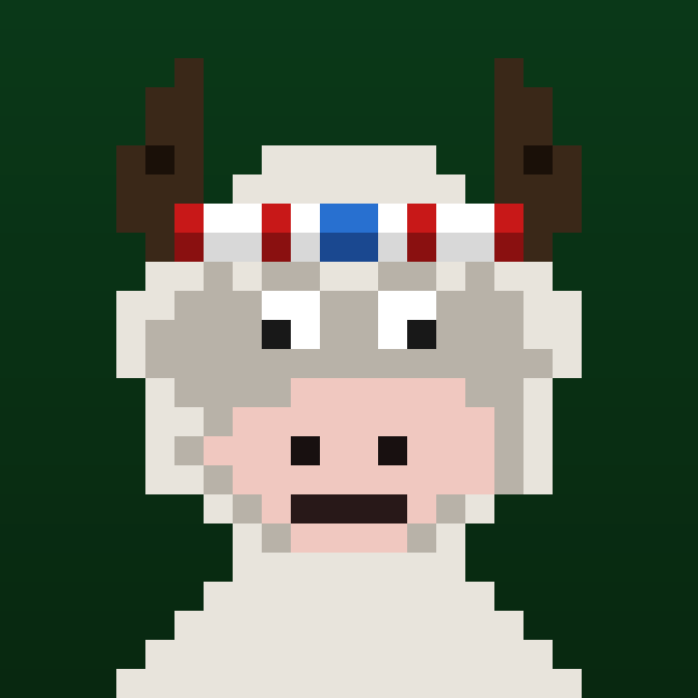 WrappedBulls #89