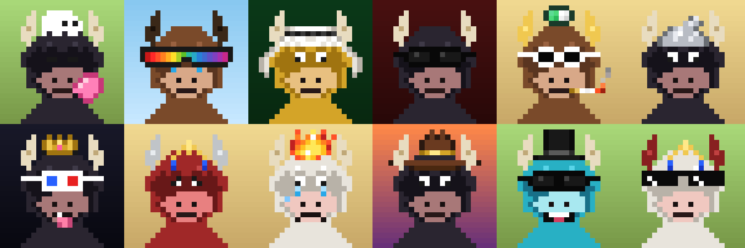 WrappedBulls collection sample